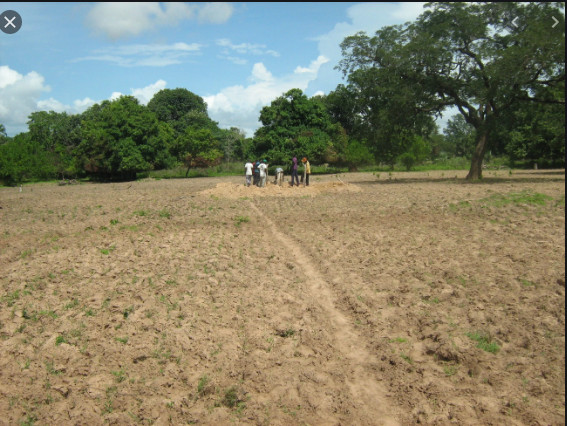 Litige foncier à Kébémer: 50 hectares attribués à un promoteur agricole, réclamés Litige foncier à Kébémer: 50 hectares attribués à un promoteur agricole, réclamés