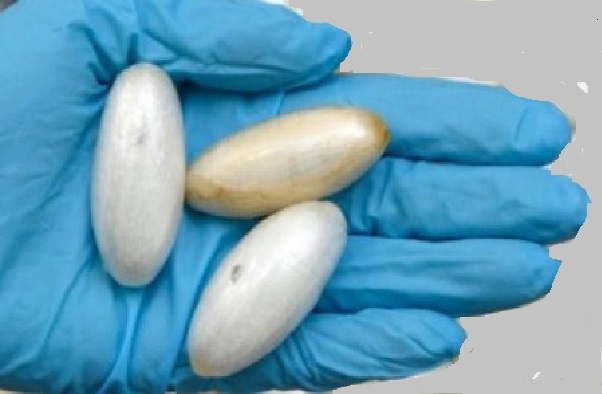 Madame continuait le business de son mari emprisonné : coincée avec 3 boulettes de cocaïne et 1 pierre de crack Madame continuait le business de son mari emprisonné : coincée avec 3 boulettes de cocaïne et 1 pierre de crack