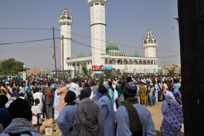 Leur Ziarra annuelle snobée par l’Etat : le khalife général de Léona Niassène très remonté Leur Ziarra annuelle snobée par l’Etat : le khalife général de Léona Niassène très remonté