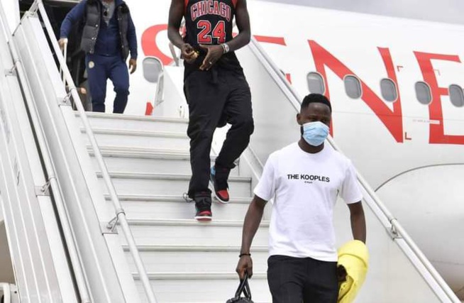 Urgent : Arrivée des Lions au Congo (Images) Urgent : Arrivée des Lions au Congo (Images)