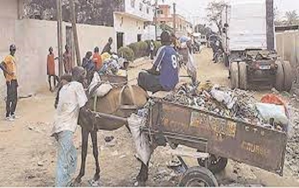 Kaolack : quand les charretiers racontent leur galère Kaolack : quand les charretiers racontent leur galère
