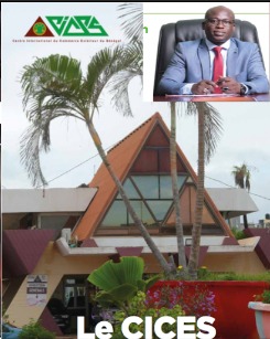 Saliou Keita nouveau Dg du CICES: une ambition réaliste. Saliou Keita nouveau Dg du CICES: une ambition réaliste.
