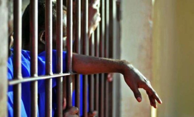 LOUGA: Le berger Ameth Fall condamné à vingt ans de travaux forcés LOUGA: Le berger Ameth Fall condamné à vingt ans de travaux forcés