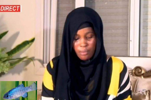 Retournement dans l’Affaire Sweet Beauté : Adji Sarr décide de retirer sa plainte, Me El hadji Diouf très fâché ! Retournement dans l’Affaire Sweet Beauté : Adji Sarr décide de retirer sa plainte, Me El hadji Diouf très fâché !