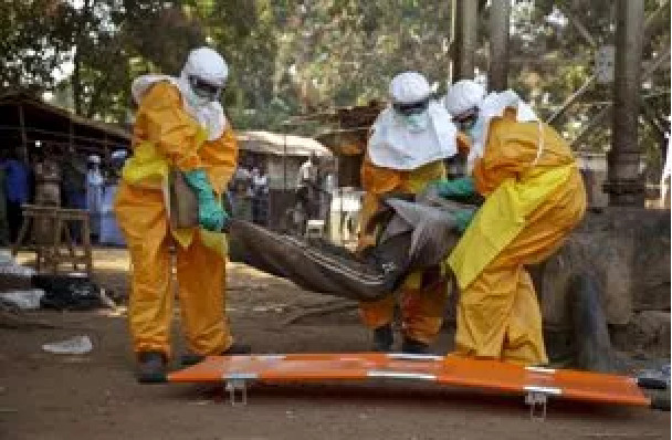 Appui pour la prévention de l’épidémie d’Ebola : l’USAID accorde 220 millions F CFA au Sénégal Appui pour la prévention de l’épidémie d’Ebola : l’USAID accorde 220 millions F CFA au Sénégal
