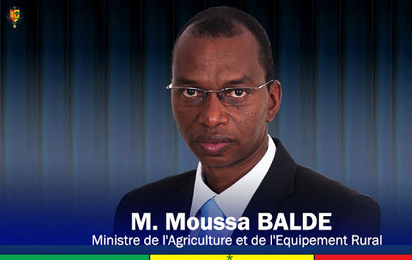 Ministère de l’agriculture et de l’équipement rural : Les employés en mouvement d’humeur