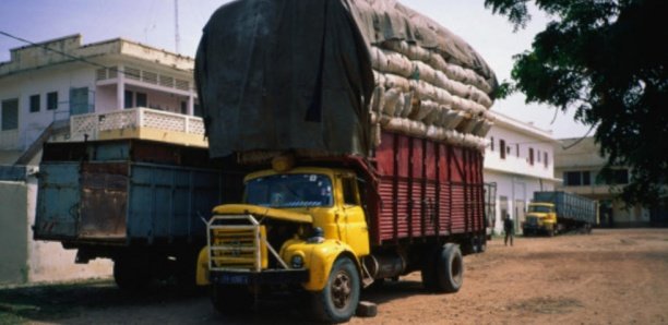 Fermeture de la frontière Sénégal - Guinée: Dégâts collatéraux de la brouille Macky-Alpha Condé?