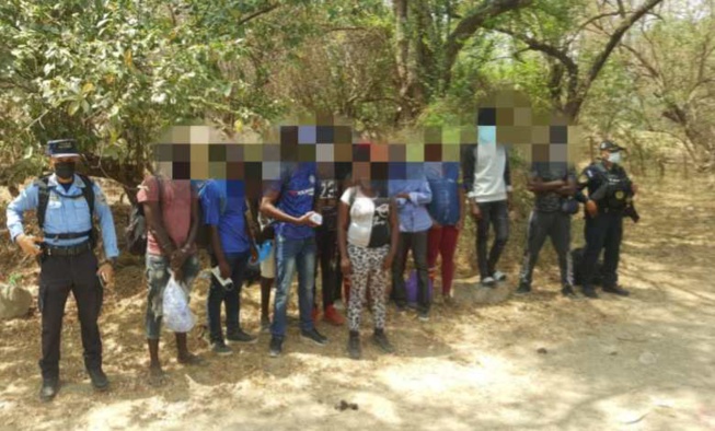 Urgent – Honduras : Des Sénégalais, entrés illégalement dans le pays arrêtés