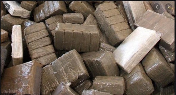Trafic de drogue: 4 Nigérians et un Sénégalais arrêtés Trafic de drogue: 4 Nigérians et un Sénégalais arrêtés