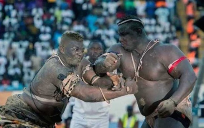 Bombardier avertit Balla Gaye 2: "Doumako may dara, combat bou saf sap" Bombardier avertit Balla Gaye 2: "Doumako may dara, combat bou saf sap"