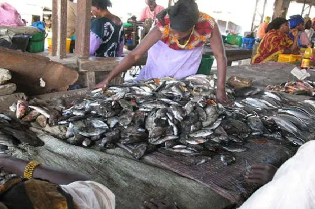 Marché central aux poissons de Pikine: Discorde entre agents de la mairie de Dalifort et acteurs économiques