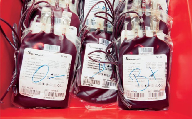 Diourbel-déficit de sang en période de ramadan : L’Eglise et la communauté Baye Fall pour juguler le mal Diourbel-déficit de sang en période de ramadan : L’Eglise et la communauté Baye Fall pour juguler le mal