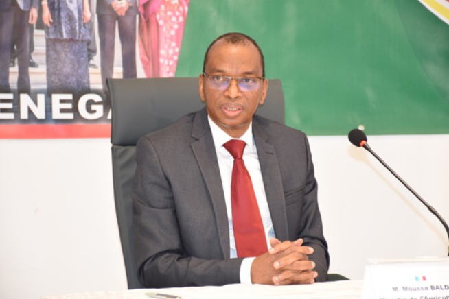 CAMPAGNE AGRICOLE : LE GOUVERNEMENT TABLE SUR 4 MILLIONS DE TONNES DE CÉRÉALES ET 2 MILLIONS POUR LES CULTURES INDUSTRIELLES CAMPAGNE AGRICOLE : LE GOUVERNEMENT TABLE SUR 4 MILLIONS DE TONNES DE CÉRÉALES ET 2 MILLIONS POUR LES CULTURES INDUSTRIELLES