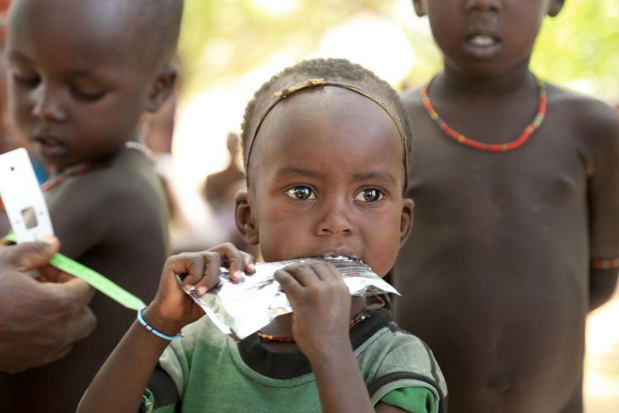 Renforcement de la sécurité alimentaire en Afrique : Une coalition de banques multilatérales et de partenaires au développement annonce plus de 17 milliards USD