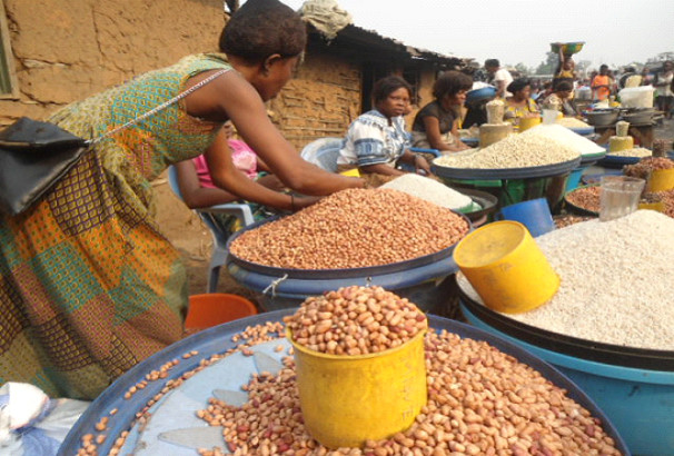 Promotion des céréales locales et autonomisation des femmes : L’AFAO pour la commande publique auprès des femmes productrices