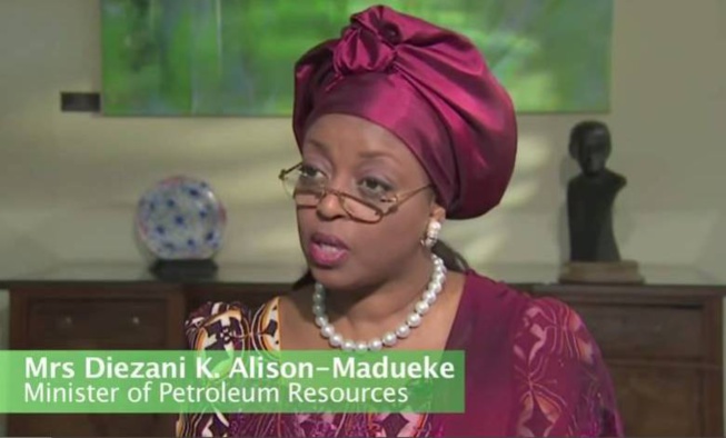 Nigeria: 153 millions de dollars saisis chez un ex-ministre Nigeria: 153 millions de dollars saisis chez un ex-ministre