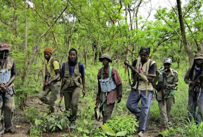 Casamance : Des ailes politiques du MFDC veulent déposer les armes Casamance : Des ailes politiques du MFDC veulent déposer les armes