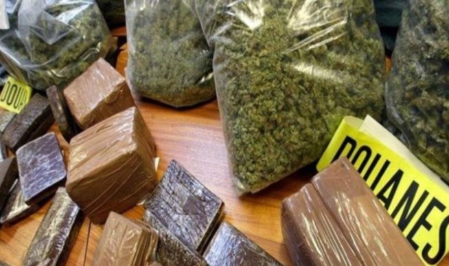 Saisis de 450 kilogrammes de chanvre à Rufisque : Le trafiquant Bleu tombe! Saisis de 450 kilogrammes de chanvre à Rufisque : Le trafiquant Bleu tombe!