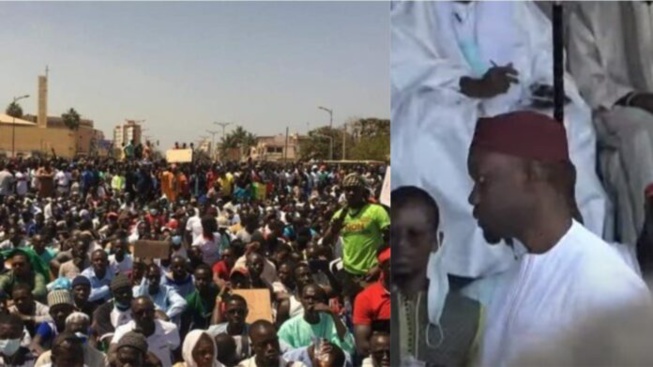 Etats généraux de l'Eco: Ousmane Sonko no "To go", se rabat sur... Etats généraux de l'Eco: Ousmane Sonko no "To go", se rabat sur...