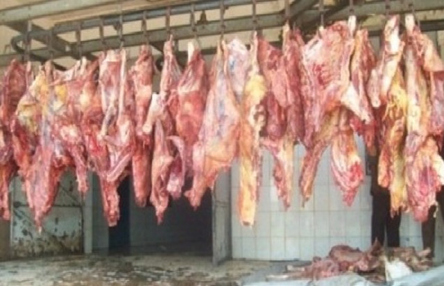Accusés de vendre de la viande d’ânes au Sénégalais : la grosse colère des chevillards de Sogas Accusés de vendre de la viande d’ânes au Sénégalais : la grosse colère des chevillards de Sogas