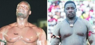 Lutte:Tyson - Gris, un duel de chef confirmé pour la saison 2013-2014. Lutte:Tyson - Gris, un duel de chef confirmé pour la saison 2013-2014.
