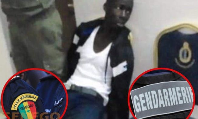 Section de recherches : «Boy Djinné» auditionné exclusivement sur son… Section de recherches : «Boy Djinné» auditionné exclusivement sur son…