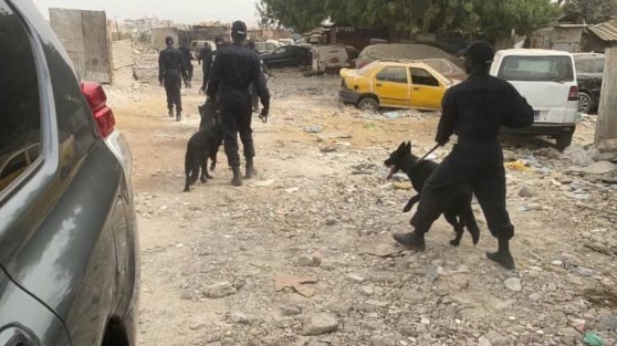 Patrouille de la gendarmerie à Dakar: 873 personnes interpellées à Ouakam Patrouille de la gendarmerie à Dakar: 873 personnes interpellées à Ouakam