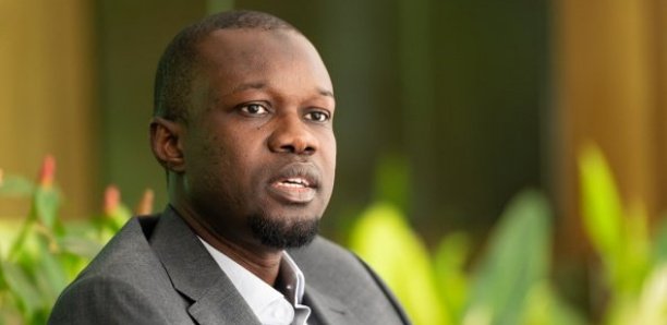 Locales – Link avec Sonko et Khalifa Sall : Le Sg Pastef Médina recadre Bamba Fall Locales – Link avec Sonko et Khalifa Sall : Le Sg Pastef Médina recadre Bamba Fall