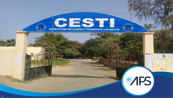 Marché du travail: Le Cesti injecte 25 nouveaux diplômés Marché du travail: Le Cesti injecte 25 nouveaux diplômés