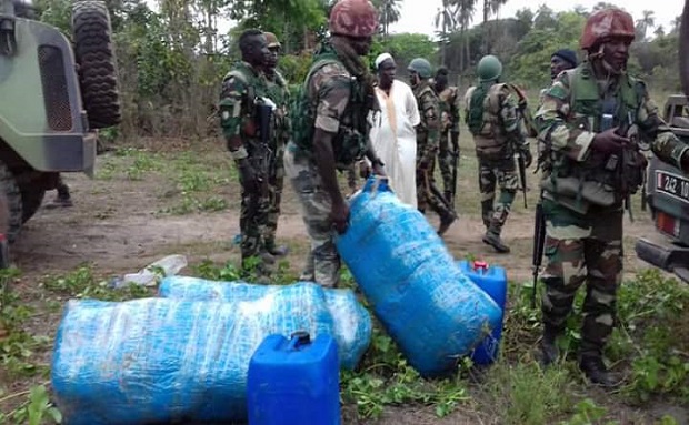 Coup de filet de la gendarmerie à Diouloulou: 237 kg de chanvre Indien saisis, 2 trafiquants interpellés Coup de filet de la gendarmerie à Diouloulou: 237 kg de chanvre Indien saisis, 2 trafiquants interpellés