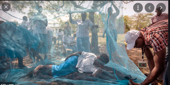 Paludisme: Le Sénégal enregistre en 2020, une hausse de 25% de cas