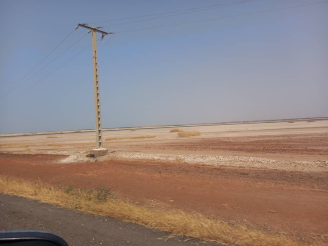 Attribution de 3 000 parcelles aux Lébous : Diass réserve son accord Attribution de 3 000 parcelles aux Lébous : Diass réserve son accord