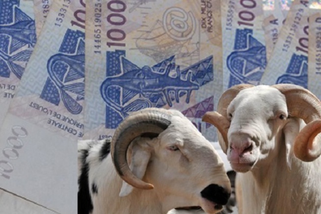 Escroquerie: Il s'envole avec la Tontine Tabaski de quatre grands marchés et se tape une "niaarel" Escroquerie: Il s'envole avec la Tontine Tabaski de quatre grands marchés et se tape une "niaarel"