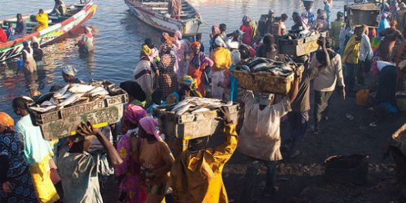 Accords de pêche Gambie-Sénégal: L’Assemblée nationale gambienne demande leur suspension