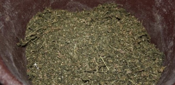 Pointe Sarène, nouveau point de débarquement de la drogue et de la fraude Pointe Sarène, nouveau point de débarquement de la drogue et de la fraude
