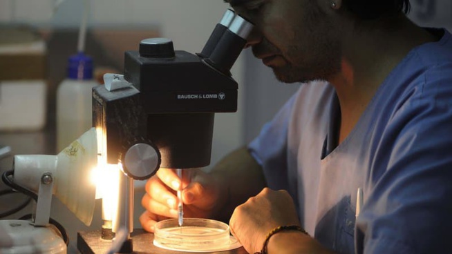 Santé: les chances de survie après un cancer s'améliorent globalement Santé: les chances de survie après un cancer s'améliorent globalement