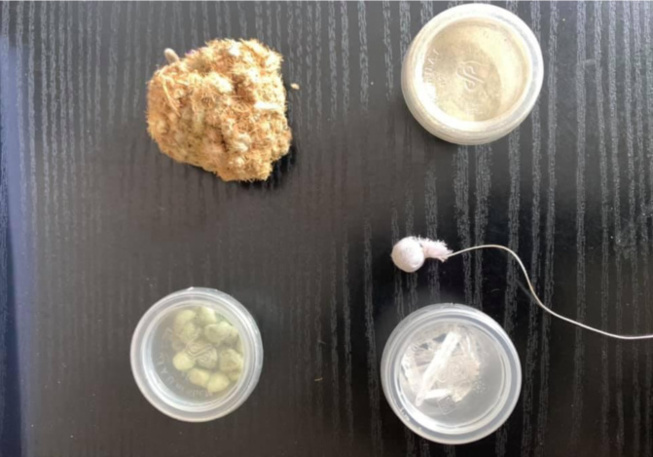 Dr. Abdoulaye Diop aux femmes qui veulent être "diongué": "Le vagin n'est ni une cuisine ni une poubelle" Dr. Abdoulaye Diop aux femmes qui veulent être "diongué": "Le vagin n'est ni une cuisine ni une poubelle"