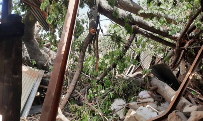 Gambie: 10 morts dans une tempête, un millier de sans abri à travers le pays Gambie: 10 morts dans une tempête, un millier de sans abri à travers le pays