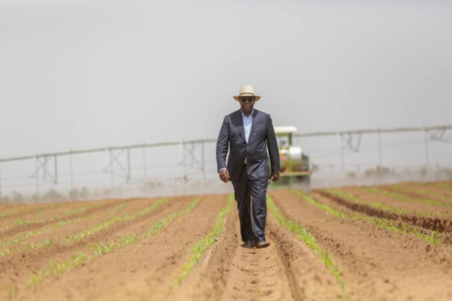 Inauguration du DAC de KMS3 par Macky Sall: Au moins 10.000 emplois espérés Inauguration du DAC de KMS3 par Macky Sall: Au moins 10.000 emplois espérés