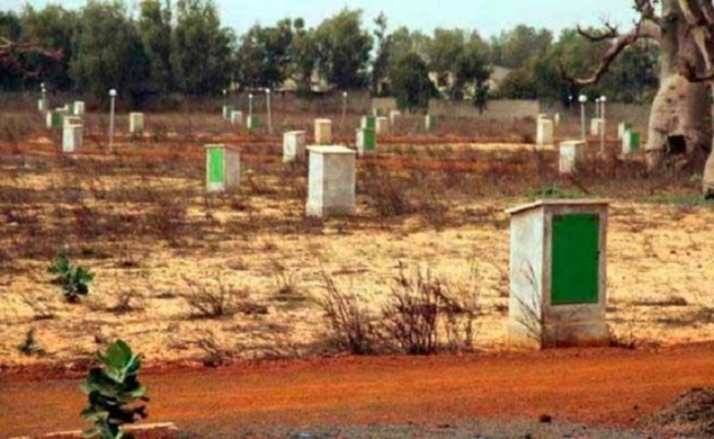 Village de Ndiodione Diagne : Les populations protestent contre les 40 hectares remis à un promoteur privé