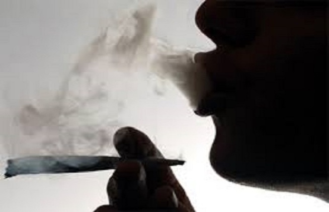 Détention et usage de chanvre indien : deux chauffeurs surpris en « mode récréation » Détention et usage de chanvre indien : deux chauffeurs surpris en « mode récréation »