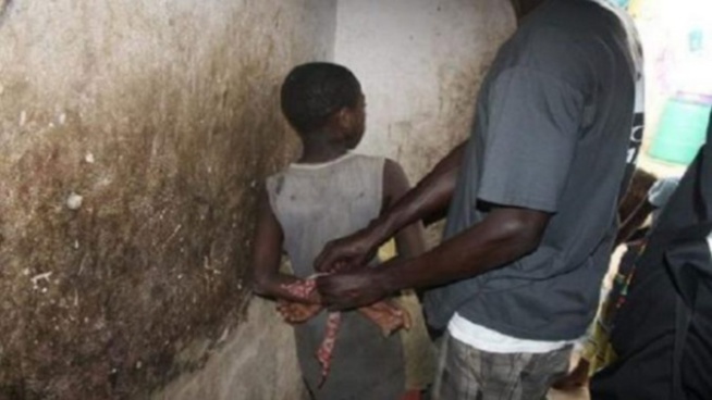 Acte contre nature à Touba: Un charretier de 17 ans surpris sur un talibé de 09 ans et... Acte contre nature à Touba: Un charretier de 17 ans surpris sur un talibé de 09 ans et...