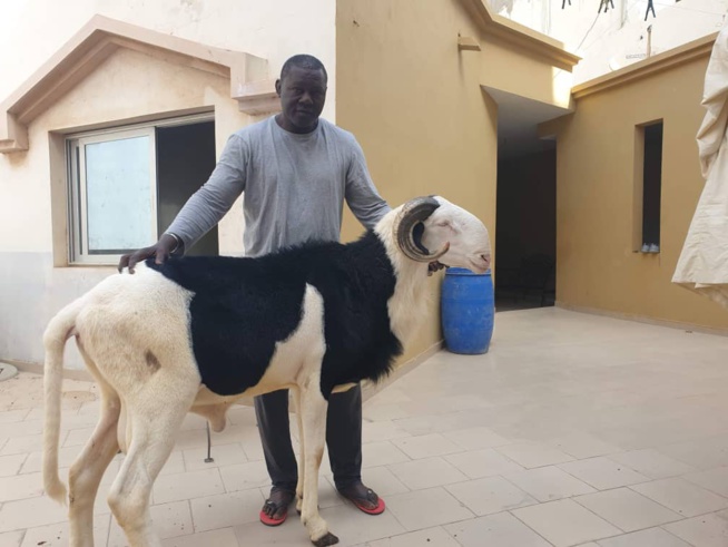 Balla Gaye 2 offre un ladoume de3.500.000f à père Tapha Gueye Balla Gaye 2 offre un ladoume de3.500.000f à père Tapha Gueye