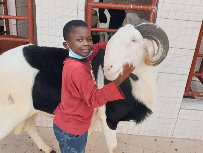 Balla Gaye 2 offre un ladoume de3.500.000f à père Tapha Gueye Balla Gaye 2 offre un ladoume de3.500.000f à père Tapha Gueye