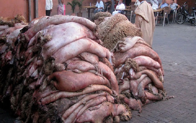 Vente de peaux de moutons après la Tabaski à Dakar : Zoom sur un business qui s’est transformé Vente de peaux de moutons après la Tabaski à Dakar : Zoom sur un business qui s’est transformé