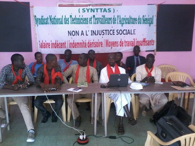 Travailleurs et techniciens de l’agriculture: La grève de la faim des délégués du Synttas a duré 24 heures