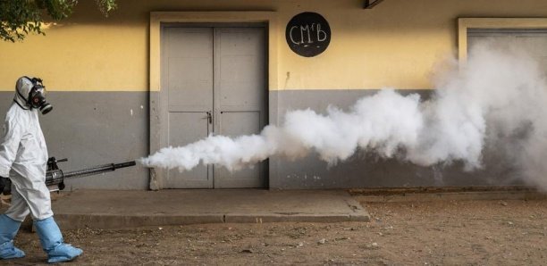 Dr. Khadidiatou Diallo Guèye: "99% des cas de grippe seraient positifs si on fait les tests à la Covid" Dr. Khadidiatou Diallo Guèye: "99% des cas de grippe seraient positifs si on fait les tests à la Covid"