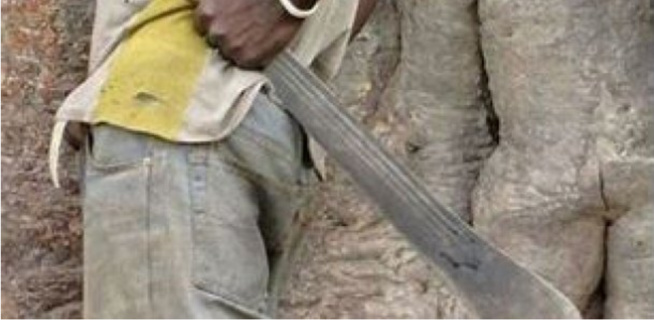 Diourbel / Affaire du berger battu à mort: 3 disciples et le fils d’un chef religieux présentés au procureur Diourbel / Affaire du berger battu à mort: 3 disciples et le fils d’un chef religieux présentés au procureur