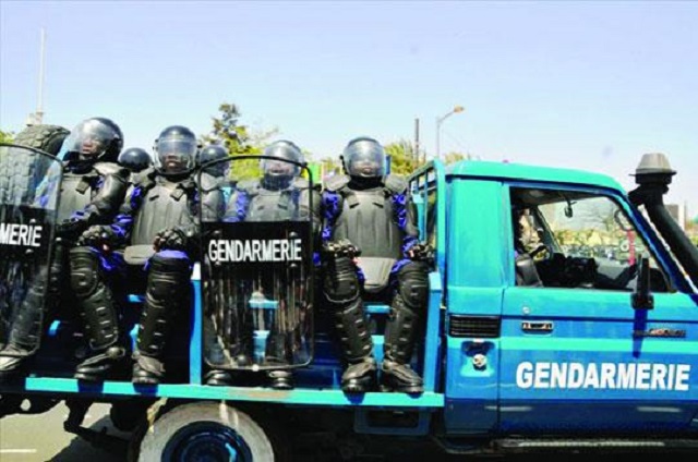 Sécurisation de la Gendarmerie : 108 individus interpellés dont 09 pour détention de drogue