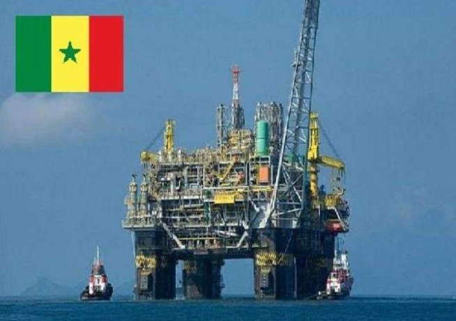 Pétrole et gaz : Le Sénégal sollicite l’expertise du Nigeria pour plus d’efficience Pétrole et gaz : Le Sénégal sollicite l’expertise du Nigeria pour plus d’efficience
